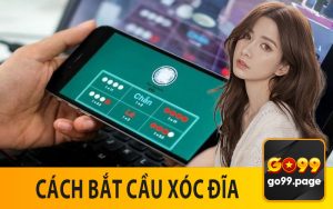 Cách Bắt Cầu Xóc Đĩa